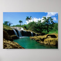 El Nicho Falls, Cuba Posters