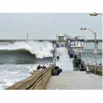 El Nino Waves Piers Ocean Seagulls photo sculptures