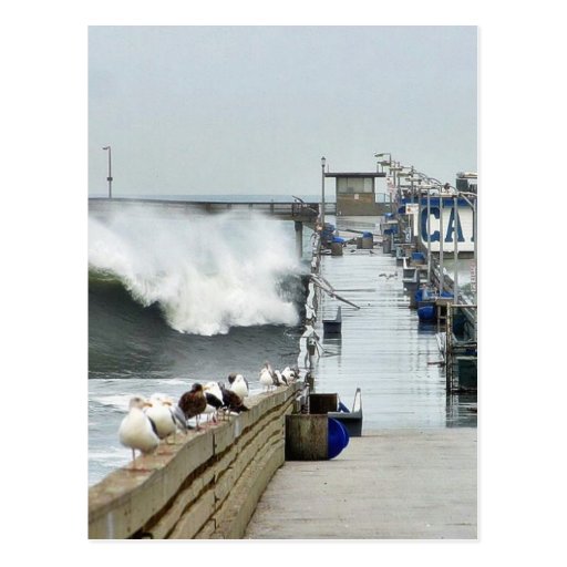 El Nino Waves Piers Ocean Seagulls Post Card