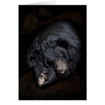 El oso negro que duerme en él es guarida tarjeta