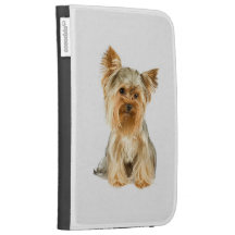 El perrito de Yorkie enciende la caja