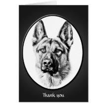 El perro de pastor alemán "le agradece " tarjetas