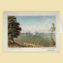 El Pinal Vineyard, San Joaquin County cards