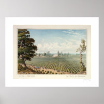 El Pinal Vineyard, San Joaquin County Poster
