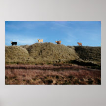 el poster más alto del pasto