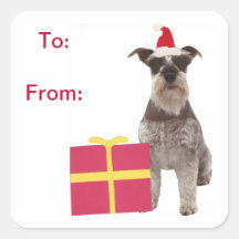 El regalo del gorra de Santa del Schnauzer marca a