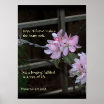 El rosa florece 13:12 de los proverbios del ~ poster
