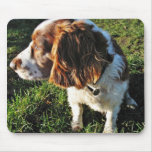 El sentarse de cocker spaniel del perro alfombrilla de ratones