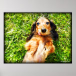El Snuggle fastidia el poster