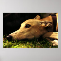 El soñar despierto poster