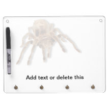 El Tarantula llano seca al tablero del borrado Pizarra Blanca