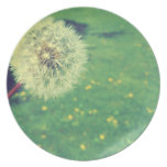 El vintage de la primavera desea fotografía platos de comidas