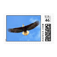 El volar de Eagle Sellos