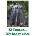 El Yunque...My happy place t-shirts by Lunaelan El Yunque...My happy place t-shirts