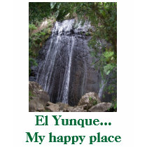 El Yunque...My happy place t-shirts by Lunaelan El Yunque...My happy place t-shirts