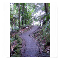 El Yunque National Forest posters