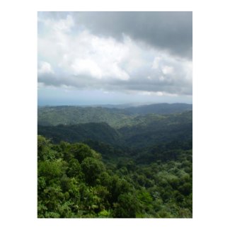 El Yunque National Forest print