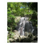 El Yunque Puerto Rico Framed Photo