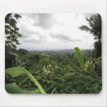 El Yunque Puerto Rico Mousepad