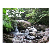 El Yunque, Puerto Rico postcards