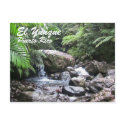 El Yunque, Puerto Rico postcards