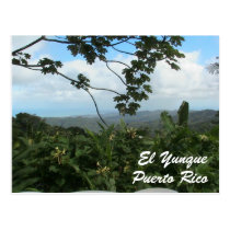El Yunque, Puerto Rico postcards
