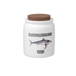 Elasmobranchologist Inside (Great White Shark) Candy Jars