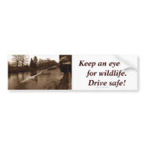 Elasmosaurus Gifts bumper stickers