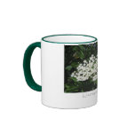 Elderberry Mug