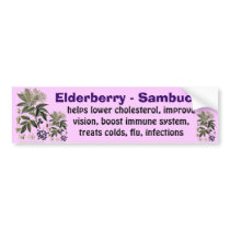 Elderberry Sambucus bumper sticker
