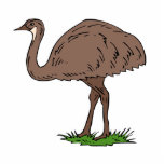 Eldon Emu Acrylic Cut Outs