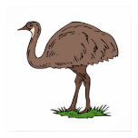 Eldon Emu Print