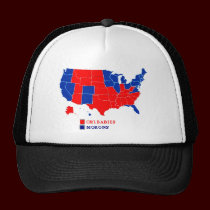 ELECTION MAP EVERYONE ELSE.png hats