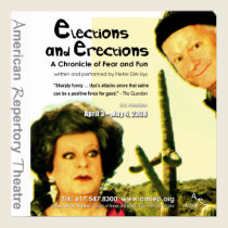 ELECTIONS & ERECTIONS30x30 posters