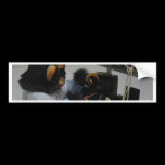 electonics camera technician bumper stickers