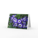 Electric Blue cards