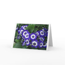 Electric Blue cards