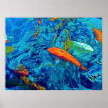 Electric Blue Koi Print