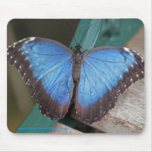 Electric Blue Mousemat Mouse Pad
