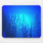 Electric blue pines