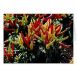 Electric Chili Peppers Cards