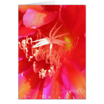 Electric Flower cards