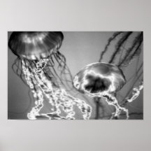 Electric Jellies Posters