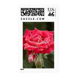 Electric Lady Postage Stamps