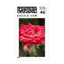 Electric Lady Postage Stamps