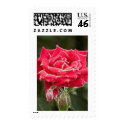 Electric Lady postage