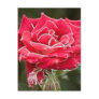 Electric Lady Post Card