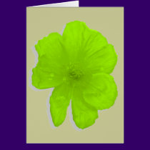 Electric Lime/ PopArt Flower cards
