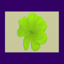 Electric Lime/ PopArt Flower postcards