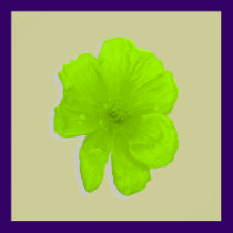 Electric Lime/ PopArt Flower posters
